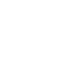 logo berner sozialstern